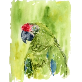 #102-THE MAGIC OF EXPRESSIVE IMPERFECTION   Loose & Expressive Birds in Watercolor