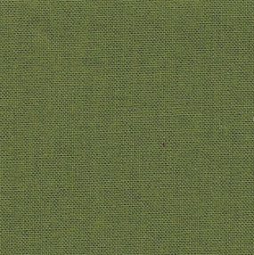 Iris Bookcloth - Olive