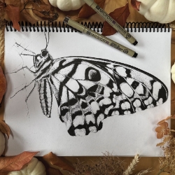 #089-INTRO TO PEN AND INK   
